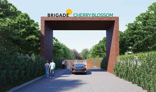 brigade-cherry-blossom-banner